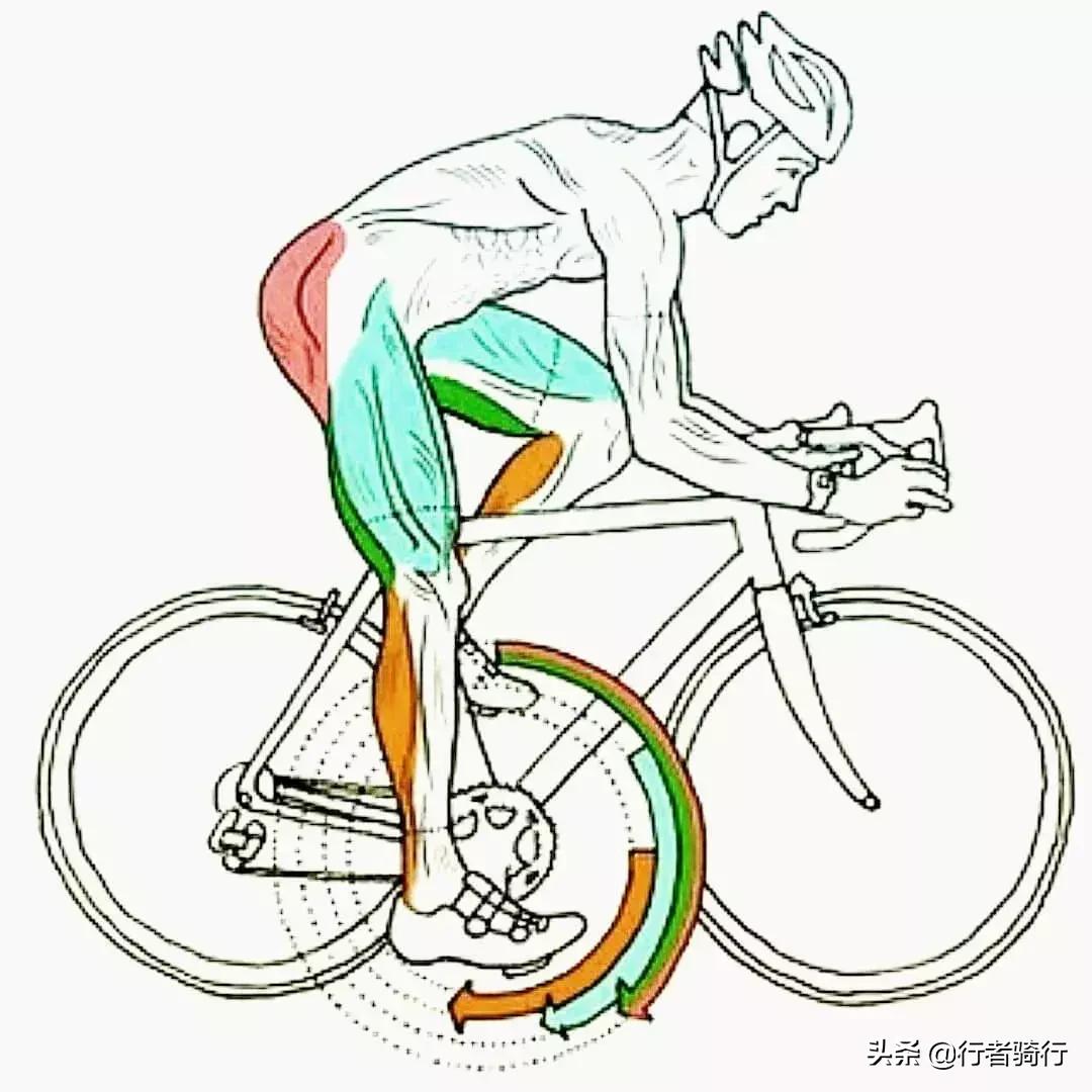 不比赛练肌肉干嘛,不比赛要减脂吗