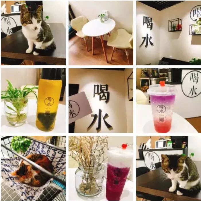 日照大学城特色美食推荐,日照大学城美食推荐最新