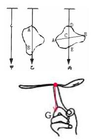 高中物理摩擦力基础知识,初中物理力弹力重力知识点