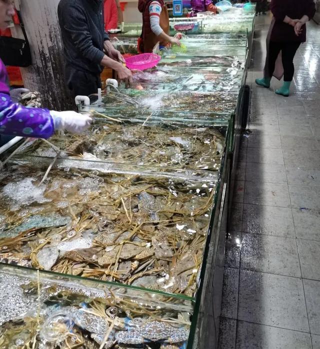 成都北海涠洲岛自由行,成都到涠洲岛攻略