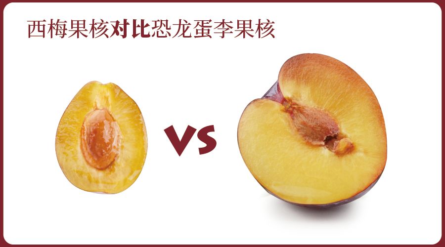 鍙堝ぇ鍙堢敎鐨勬亹榫欒泲鏉庡瓙,鎭愰緳铔嬫潕鍙ｆ劅