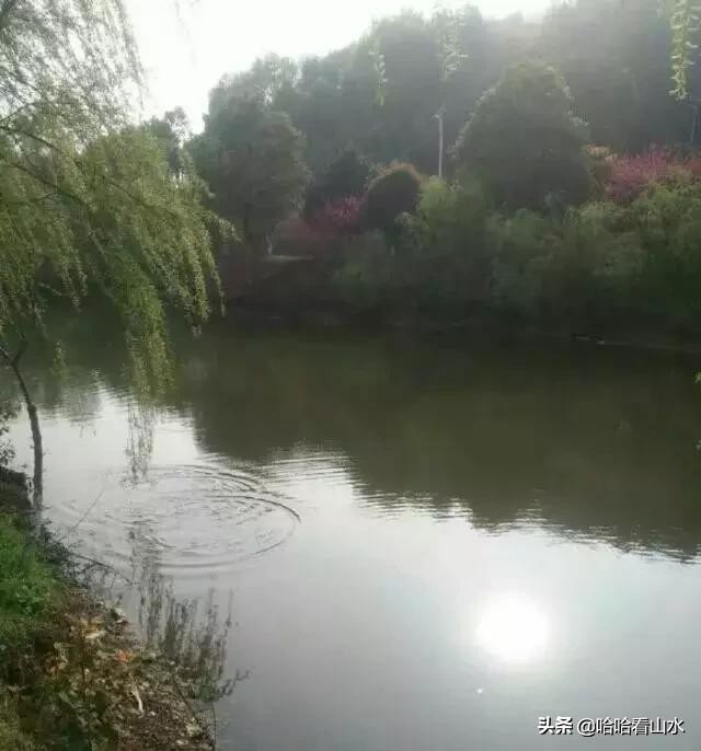 希尔寨，花的世界，花的海洋