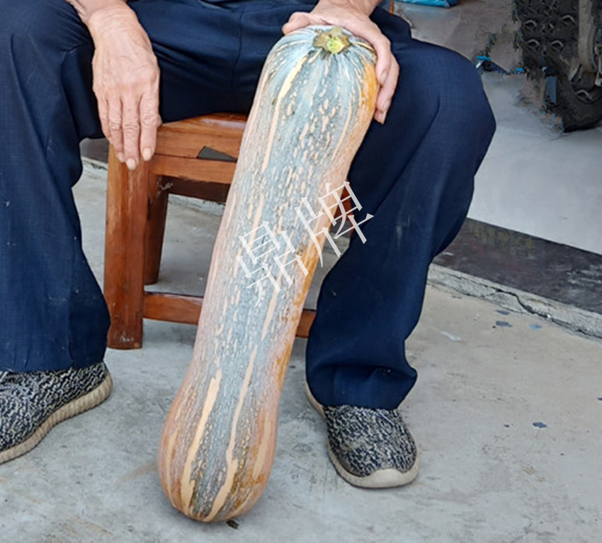 2010年的科研成就,10年潜心研究12项专利