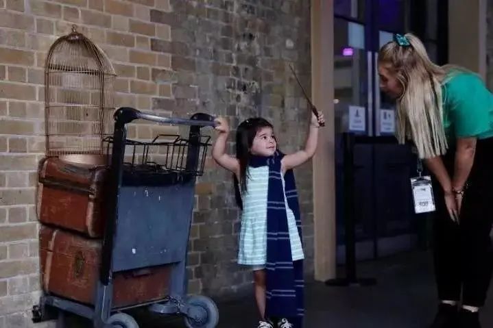 哈利波特24赛季,哈利波特正式进入霍格沃茨