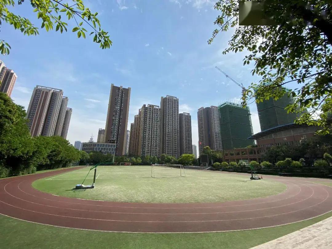 成都锦江四片学区怎么样,锦江四区学区如何