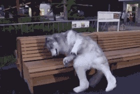 买潮牌的正确方法,去日本买潮牌便宜