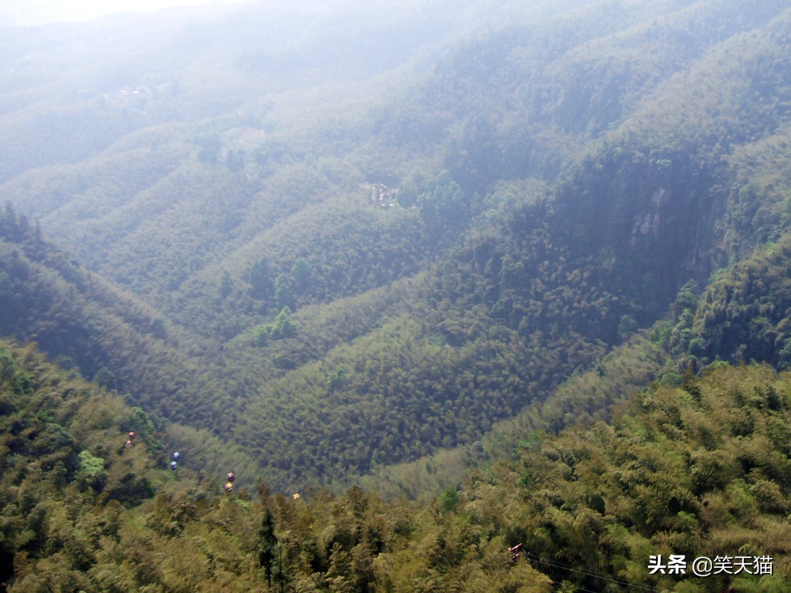四川宜宾竹海风景,宜宾蜀南竹海全视频