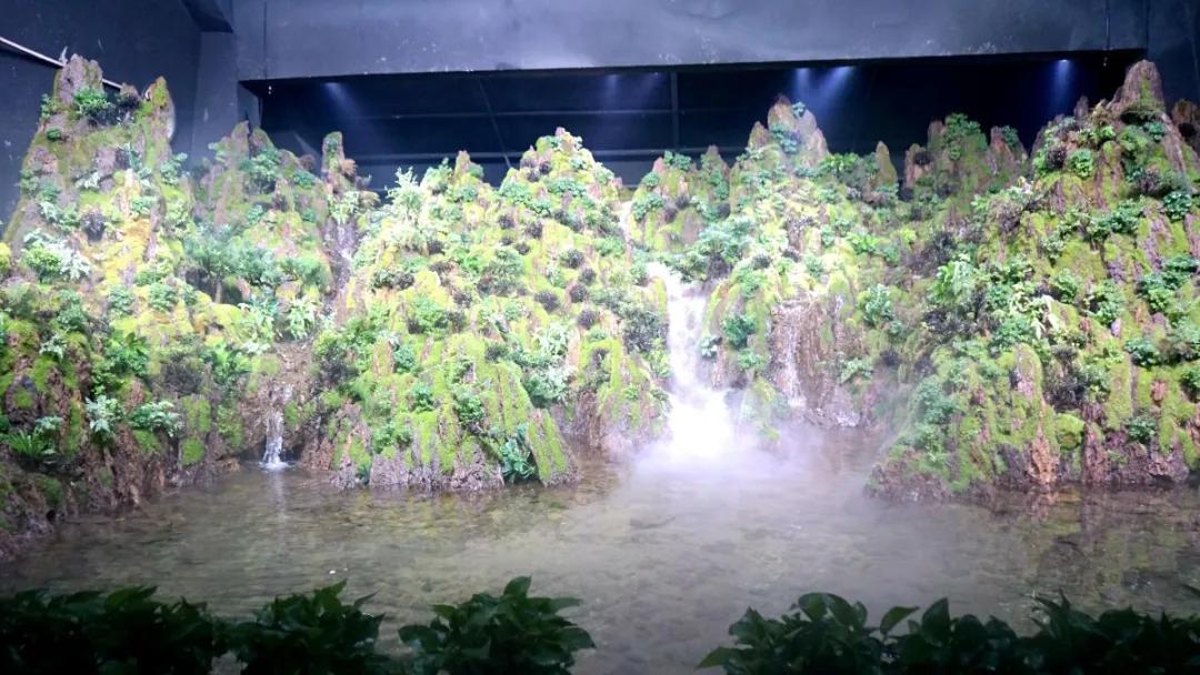 瞒不住了，孙悟空来聊城了，还带着“花果山”