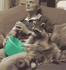 士力架一共有几个颜色,士力架红色为什么便宜