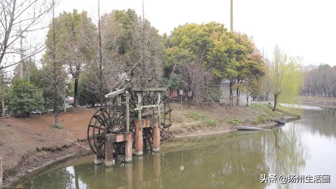 扬州花卉市场大全,扬州西区花卉市场