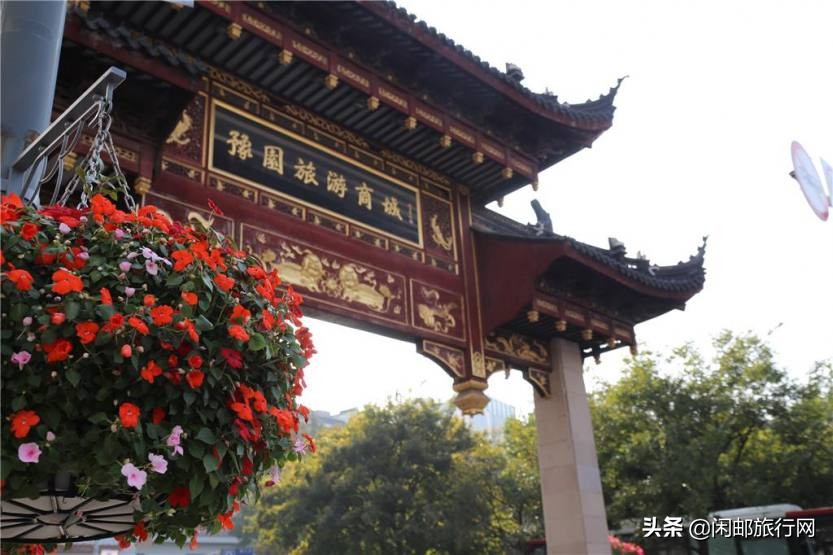 同仁健康筑梦远航2019.11.11海洋光谱号狂欢之旅