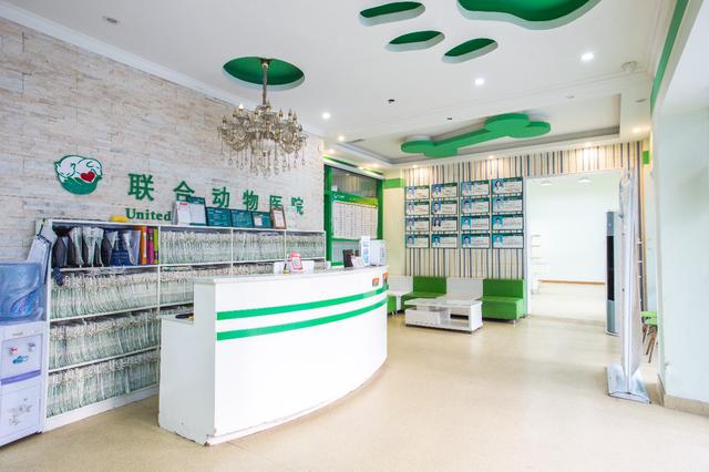 春天宠物高发传染病护理小常识，告别犬瘟，猫瘟和细小病毒