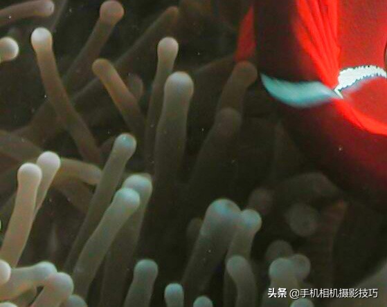 图片噪点太高后期能处理吗,噪点太高的照片后期怎么处理