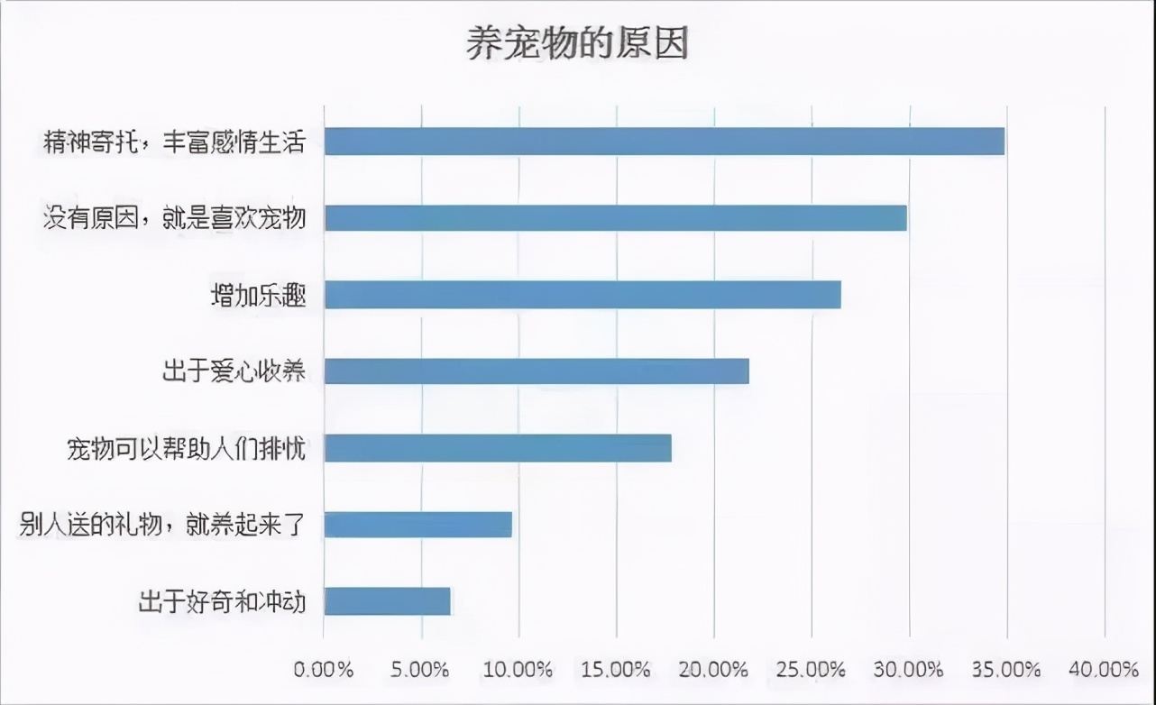 萌宠经济盛行购物中心主题,萌宠经济盛行购物中心宠物主题