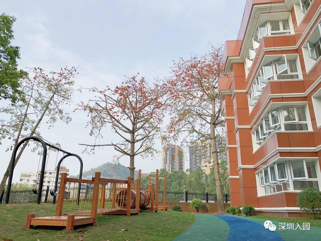 深圳高端幼儿园是哪些,深圳光明高端幼儿园