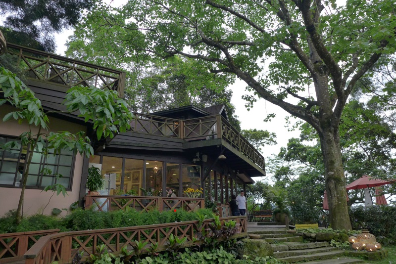 台湾客家桐•趣•游·桐花漫舞·体验客家风情