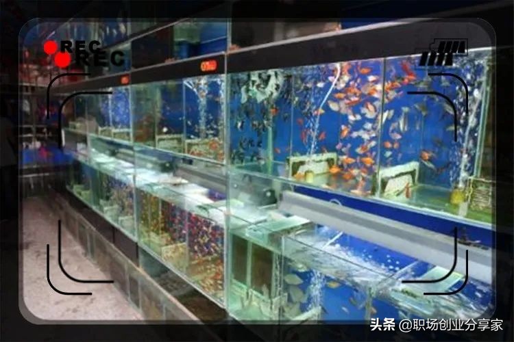 全国开放地摊经济的地区有哪些,地摊经济哪些地方允许摆摊