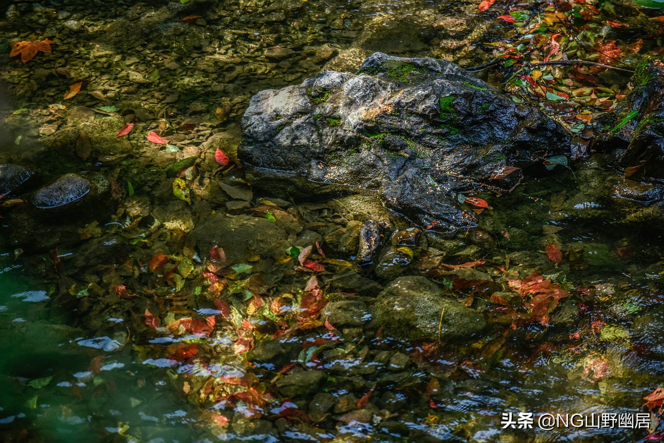 杭州九溪秋色最佳时间,杭州西湖九溪秋天几月份好看