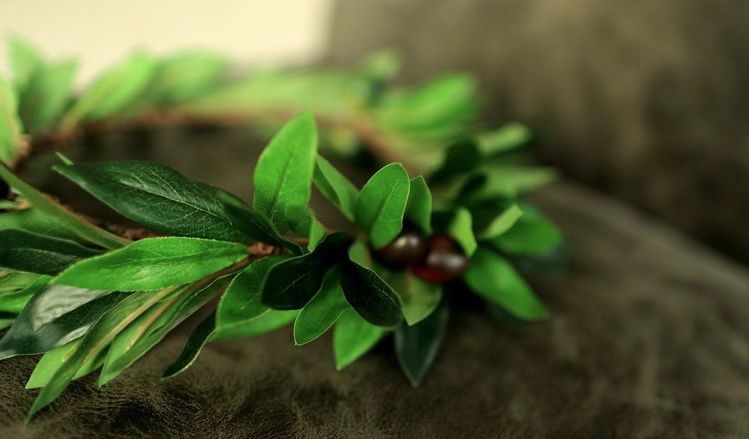 真敢玩！这次北京披萨节他们披着床单就来了