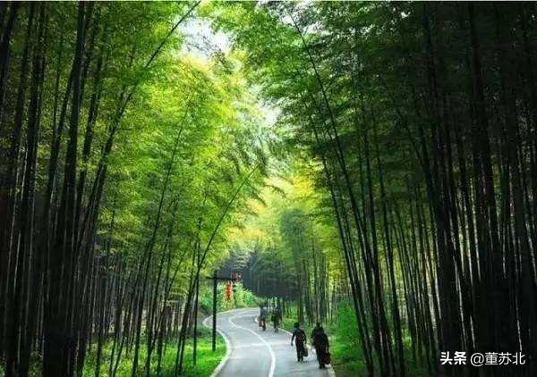 广东广宁县十大首富,广东广宁县简介