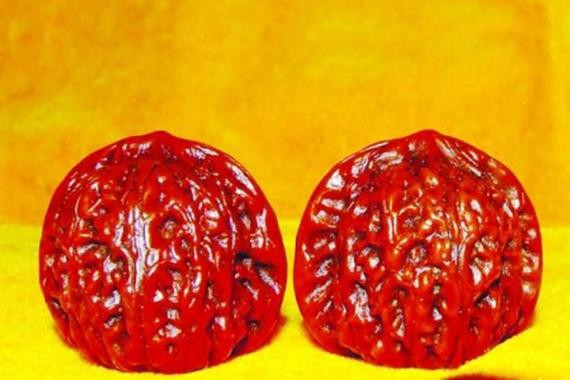 文玩核桃详解,转载分享知识