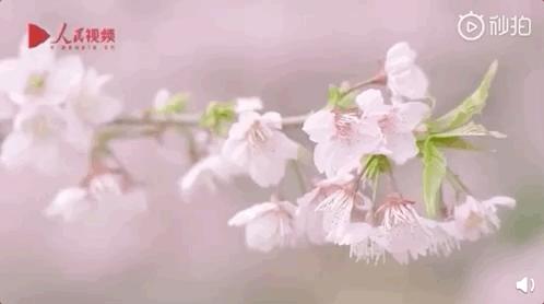 疫情防控取得阶段性胜利有序恢复,疫情胜利在望