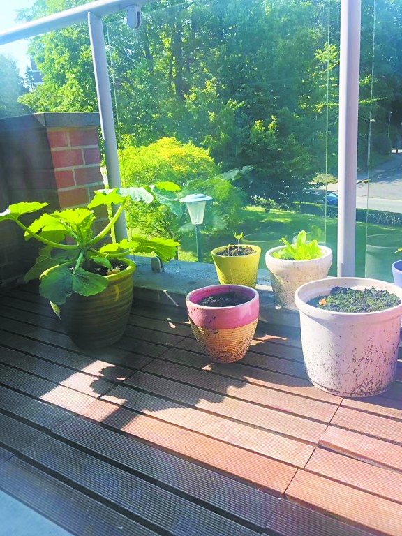 物价逆天比利时,物价超低欧洲国家