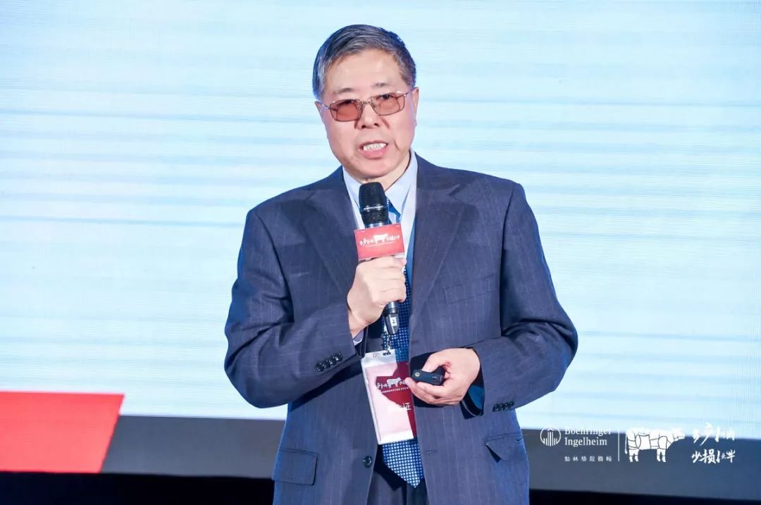 这一次，风口上站的是肉牛