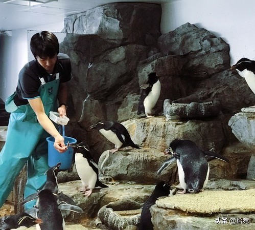 大阪带娃游玩攻略,日本大阪带孩子旅游攻略