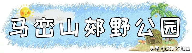 深圳完全免费的十大景点,深圳10大免费景点上集