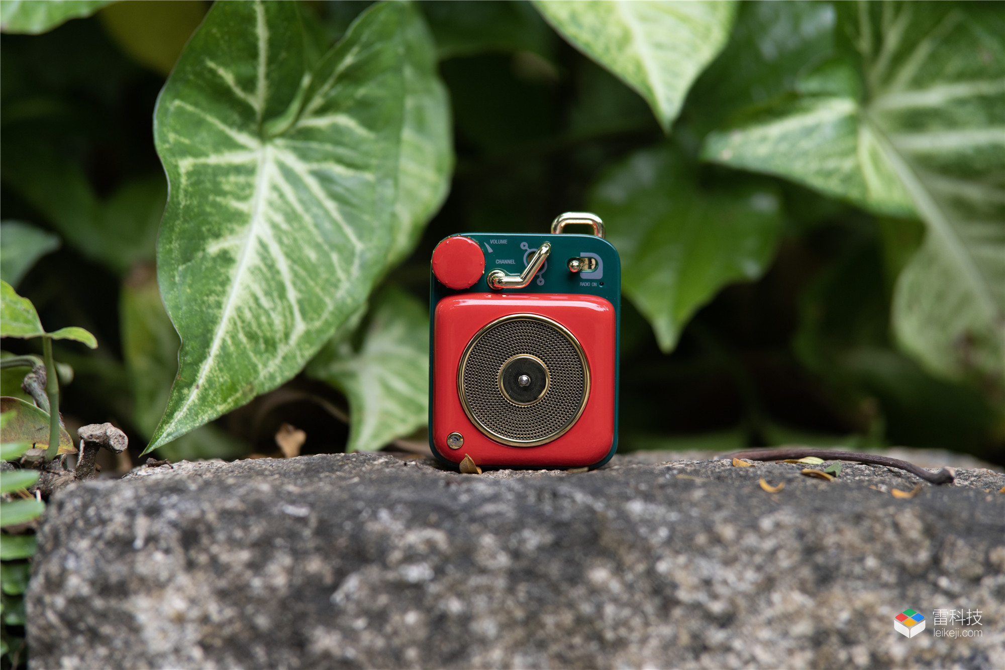 猫王原子唱机评测,猫王原子唱机和野性mini哪个好