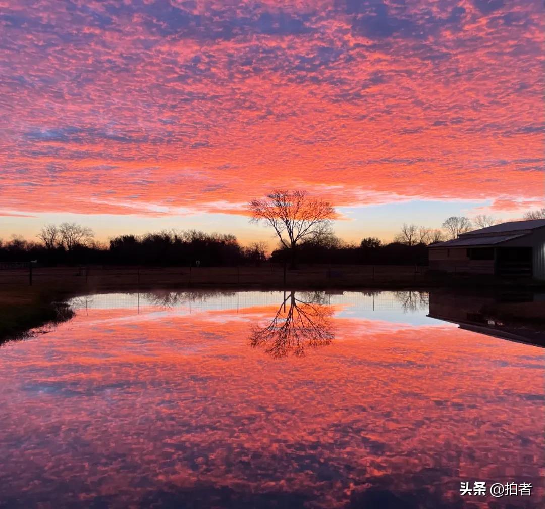 手机摄影天花板机型,手机摄影爱生活