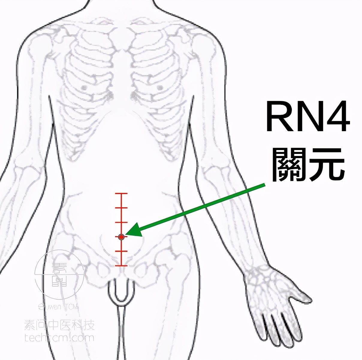 中医针灸推拿能治癌症吗,艾灸针灸拔罐刮痧之间的区别