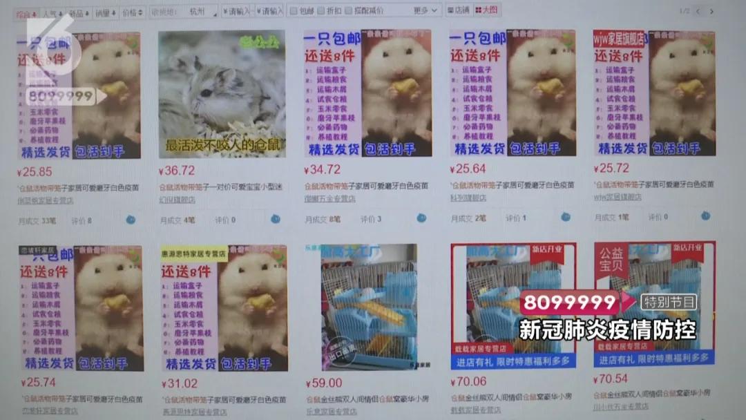 现在的花鸟市场还能卖吗,花鸟市场能买到吗