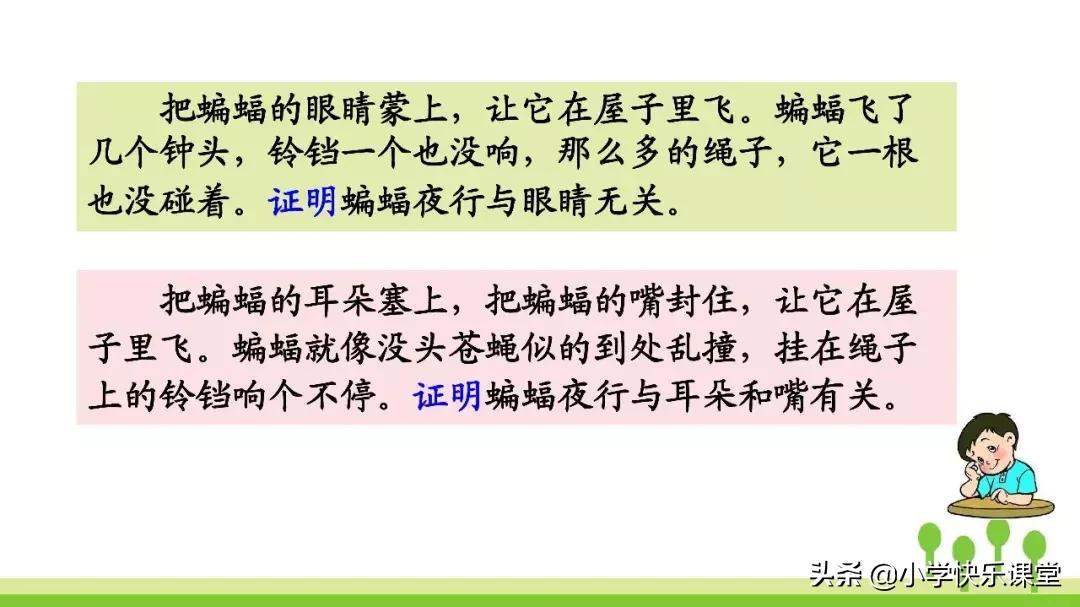 四年级上册语文蝙蝠和雷达课后题,部编版四年级上册语文蝙蝠和雷达