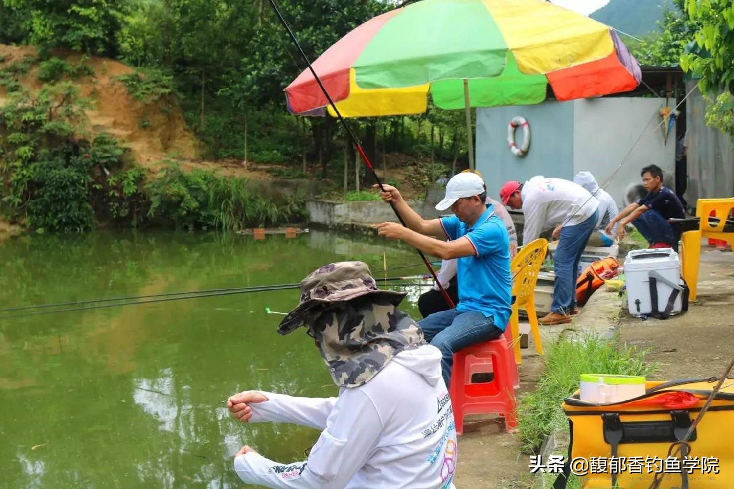 新手钓鱼鲫鱼入门教学视频,钓鱼新手入门视频教程动画