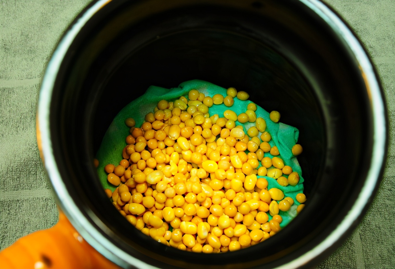 学会这个方法再也不用买豆芽了,发豆芽小技巧让你再也不用出去买