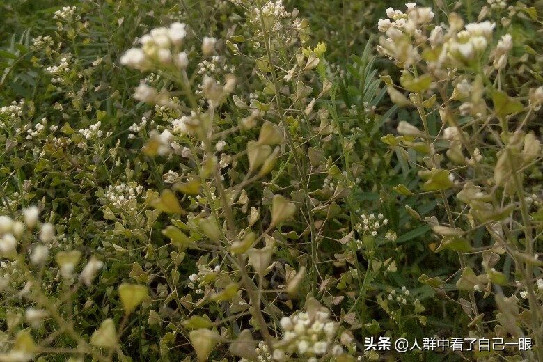 裆部事件——2008.12.16