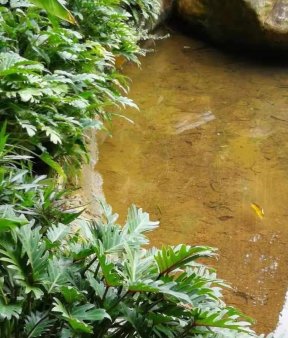 让脚丫干燥的办法,怎么保持脚丫干爽