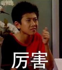 烂片王的演员有哪些 (烂片之王都有哪些明星)