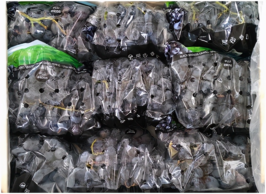 进口提子哪些品种 (进口提子品种及图解)