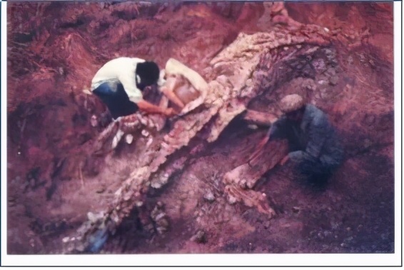 云南禄丰旅游线路攻略图,云南冬季自驾游最佳线路图