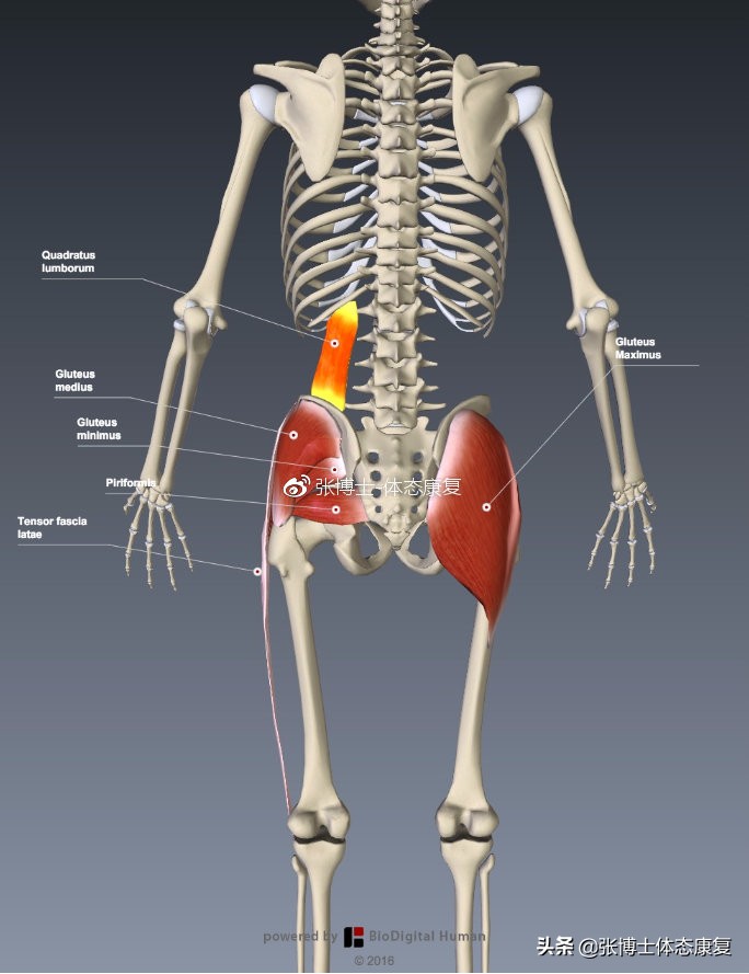 【案例分析】宝妈经常单手抱孩子腰痛怎么破,这篇文章会告诉你