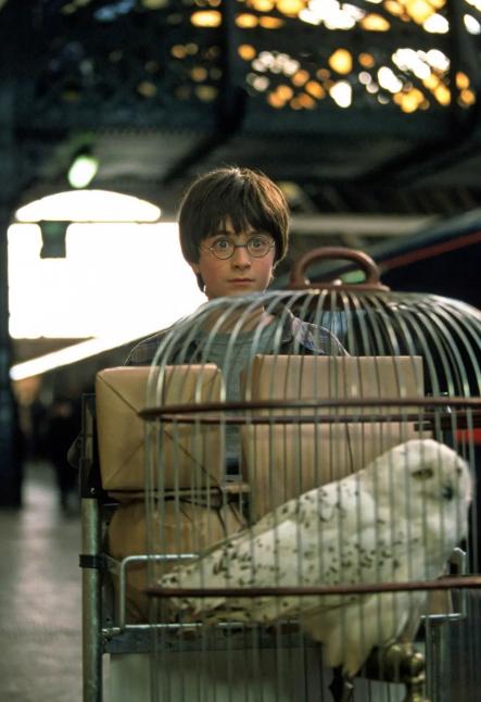 哈利波特十三年回顾满满的回忆,哈利波特七精彩片段