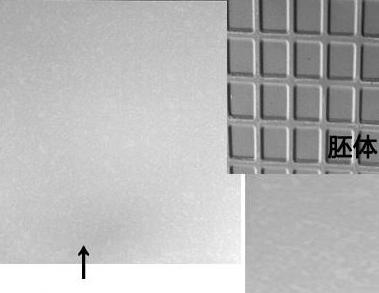 购买瓷砖需要避免哪些坑和套路,商家标价1000多