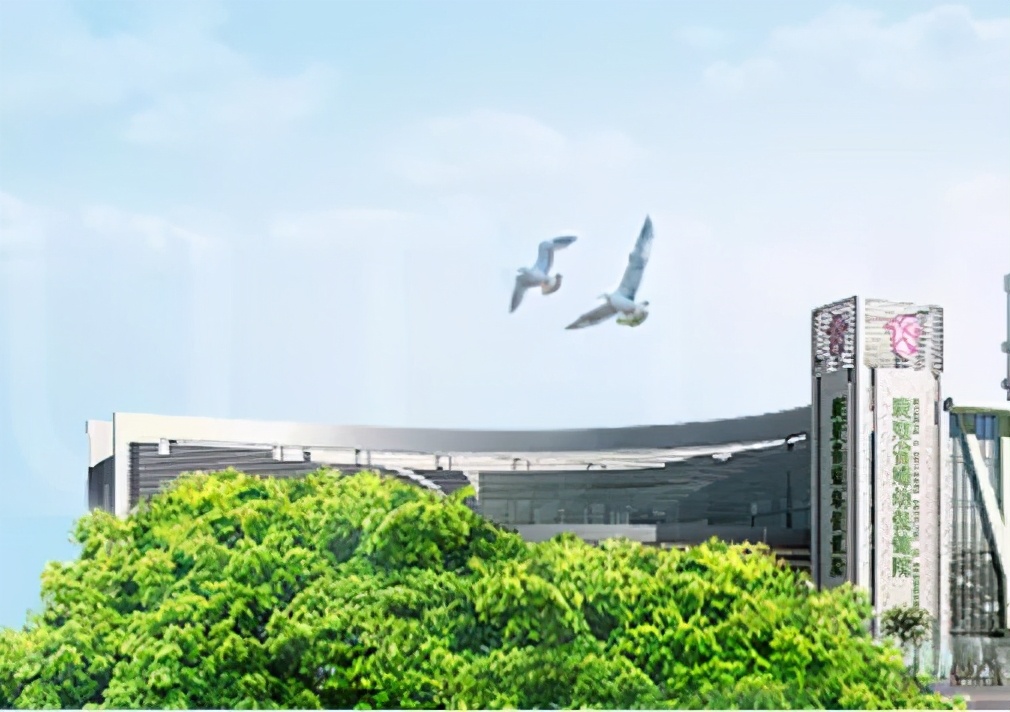 广州权威三甲医院推荐,广州看脱发比较好的三甲医院