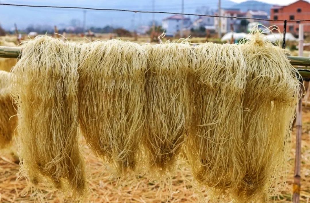 传统的粉条需要加明矾吗,手工粉条与机制粉条都加明矾吗