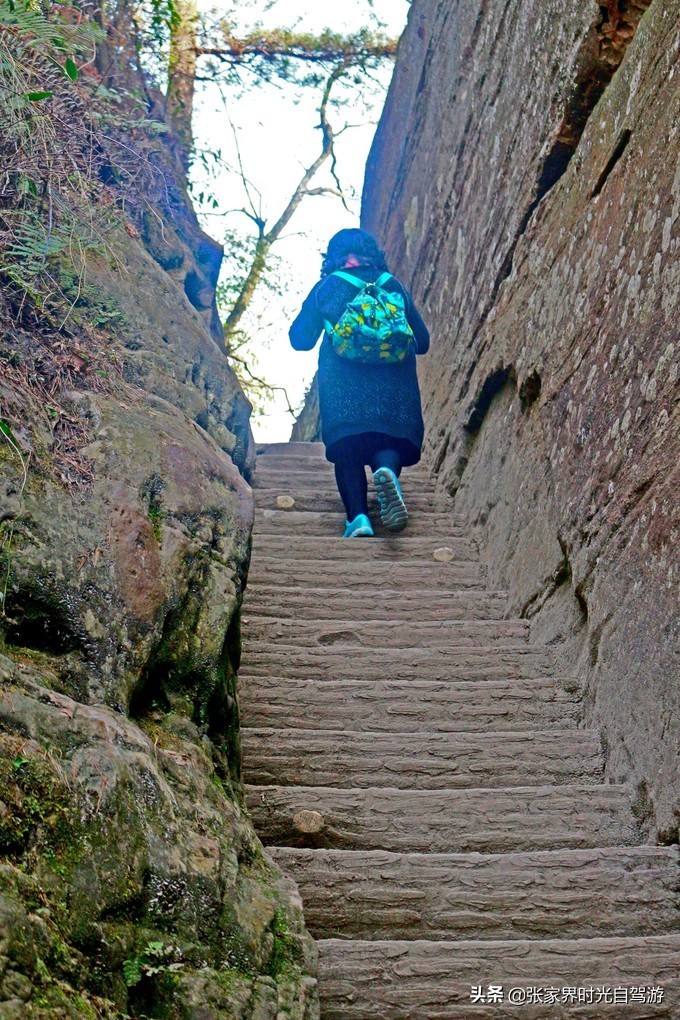 张家界森林公园亲子游攻略,张家界旅游攻略现在张家界气温