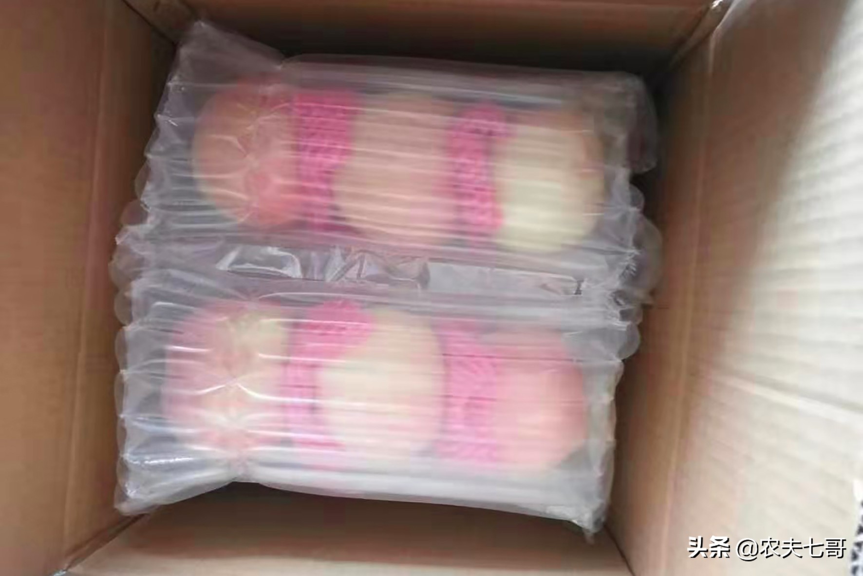 苹果怎么快速打包到果袋,苹果果农套袋子最快方法