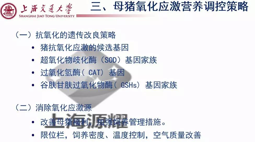 上海交大徐建雄教授直播课笔记：母猪氧化应激与营养调控